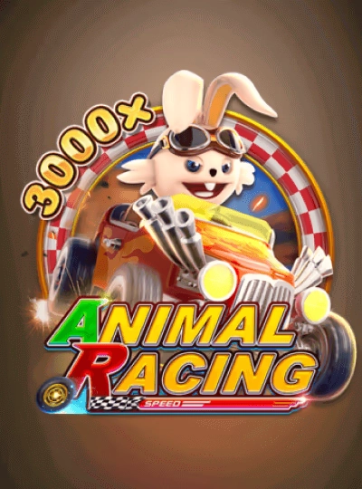 xoo88 xoo88